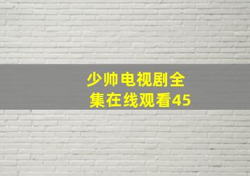 少帅电视剧全集在线观看45