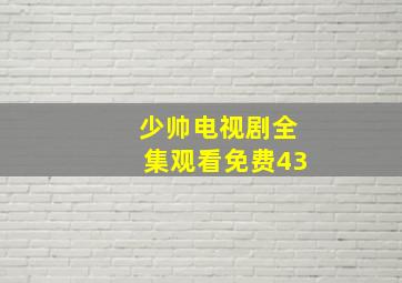 少帅电视剧全集观看免费43