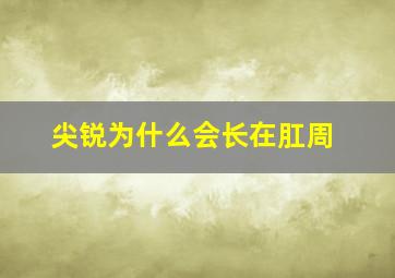 尖锐为什么会长在肛周