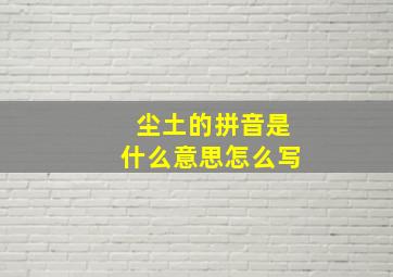 尘土的拼音是什么意思怎么写