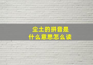 尘土的拼音是什么意思怎么读