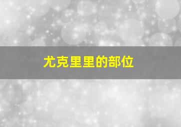 尤克里里的部位