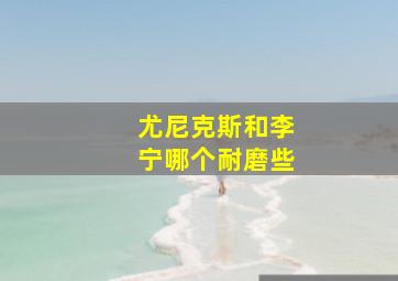 尤尼克斯和李宁哪个耐磨些