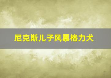 尼克斯儿子风暴格力犬