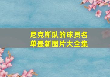 尼克斯队的球员名单最新图片大全集