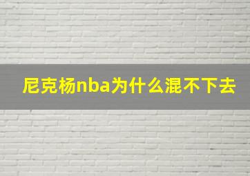 尼克杨nba为什么混不下去