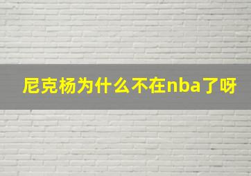 尼克杨为什么不在nba了呀