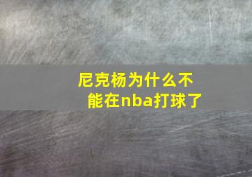 尼克杨为什么不能在nba打球了