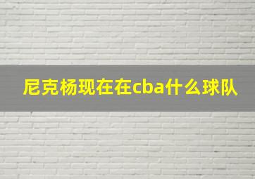 尼克杨现在在cba什么球队