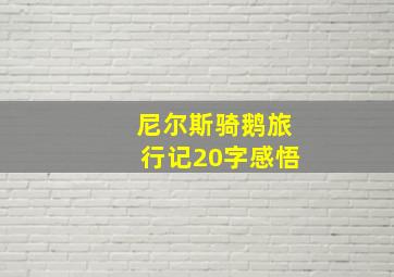 尼尔斯骑鹅旅行记20字感悟