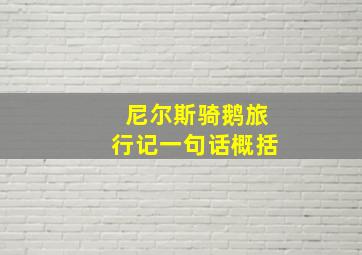 尼尔斯骑鹅旅行记一句话概括