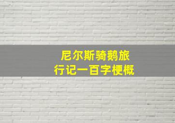 尼尔斯骑鹅旅行记一百字梗概