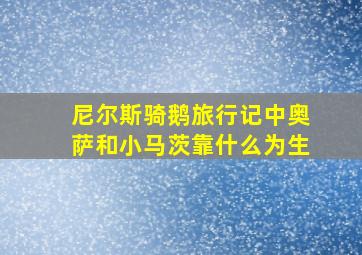 尼尔斯骑鹅旅行记中奥萨和小马茨靠什么为生