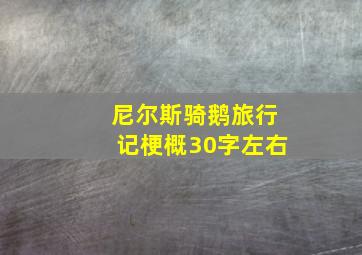 尼尔斯骑鹅旅行记梗概30字左右