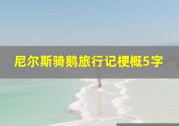 尼尔斯骑鹅旅行记梗概5字