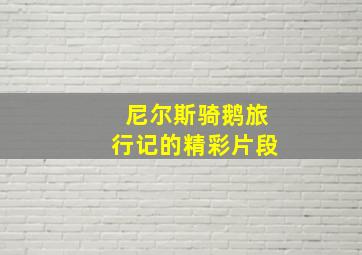 尼尔斯骑鹅旅行记的精彩片段