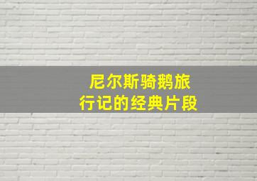 尼尔斯骑鹅旅行记的经典片段