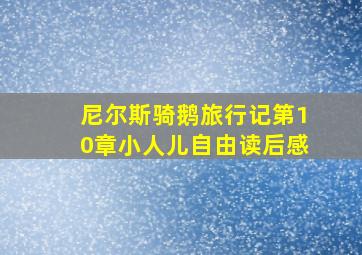 尼尔斯骑鹅旅行记第10章小人儿自由读后感