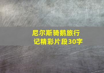 尼尔斯骑鹅旅行记精彩片段30字