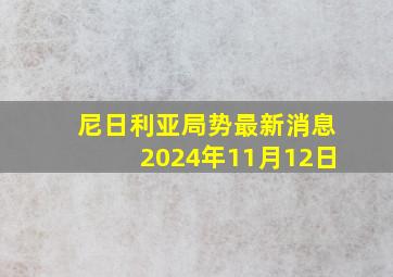 尼日利亚局势最新消息2024年11月12日