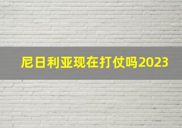 尼日利亚现在打仗吗2023