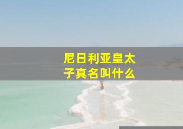 尼日利亚皇太子真名叫什么