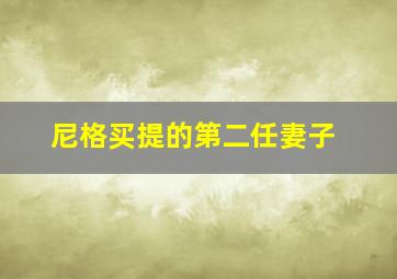 尼格买提的第二任妻子