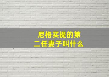 尼格买提的第二任妻子叫什么