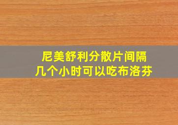 尼美舒利分散片间隔几个小时可以吃布洛芬