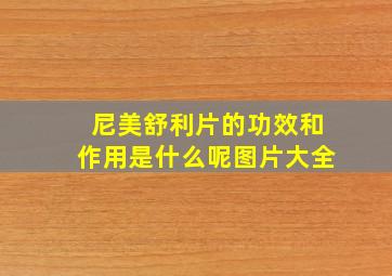 尼美舒利片的功效和作用是什么呢图片大全