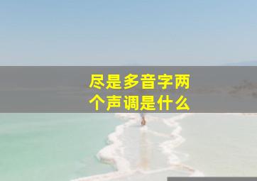 尽是多音字两个声调是什么