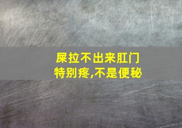 屎拉不出来肛门特别疼,不是便秘