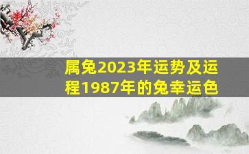 属兔2023年运势及运程1987年的兔幸运色