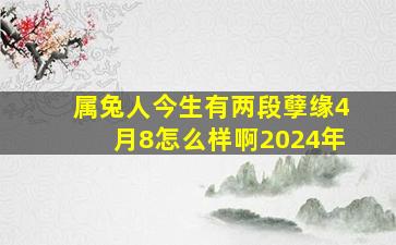 属兔人今生有两段孽缘4月8怎么样啊2024年