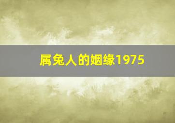 属兔人的姻缘1975