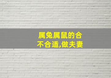 属兔属鼠的合不合适,做夫妻