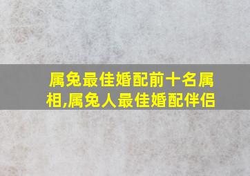 属兔最佳婚配前十名属相,属兔人最佳婚配伴侣