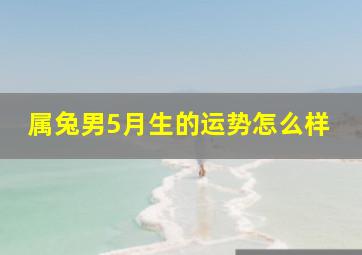 属兔男5月生的运势怎么样