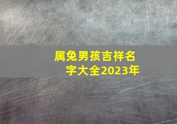 属兔男孩吉祥名字大全2023年