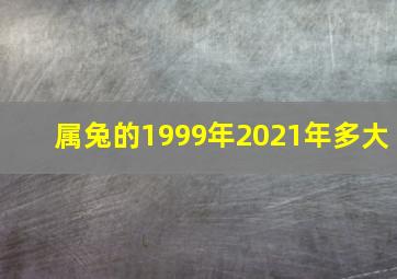 属兔的1999年2021年多大