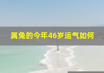 属兔的今年46岁运气如何