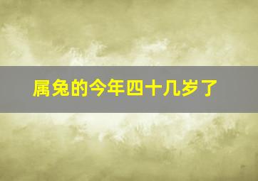 属兔的今年四十几岁了