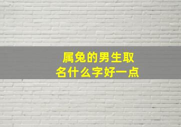 属兔的男生取名什么字好一点