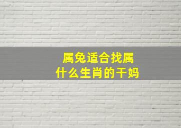 属兔适合找属什么生肖的干妈