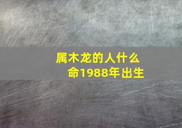 属木龙的人什么命1988年出生