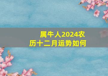 属牛人2024农历十二月运势如何