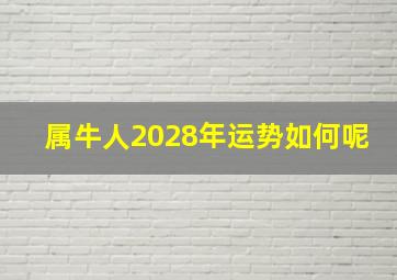 属牛人2028年运势如何呢