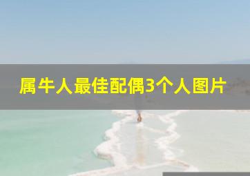 属牛人最佳配偶3个人图片