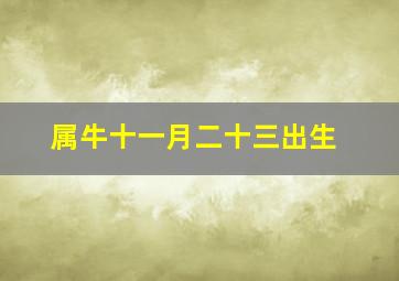 属牛十一月二十三出生