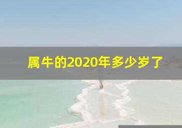 属牛的2020年多少岁了